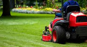 Landscapes Maintenance